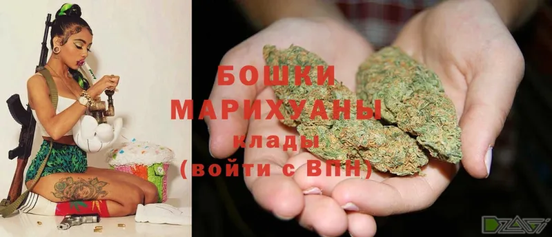 Марихуана план  Борзя 